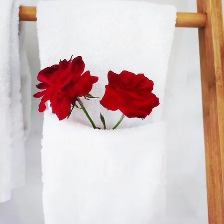 Darte Local Situado No Centro Do Pais 3*