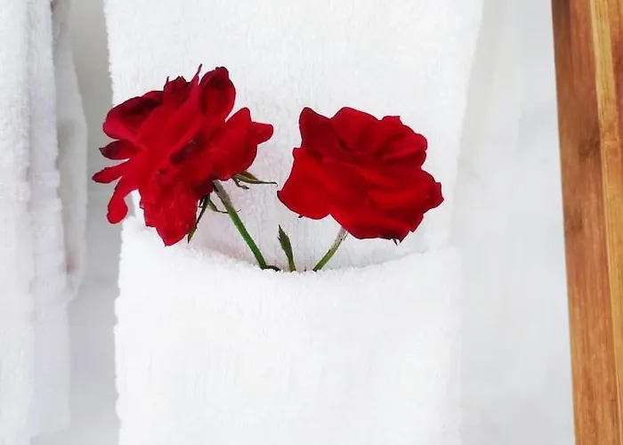 Darte Local Situado No Centro Do Pais 3*